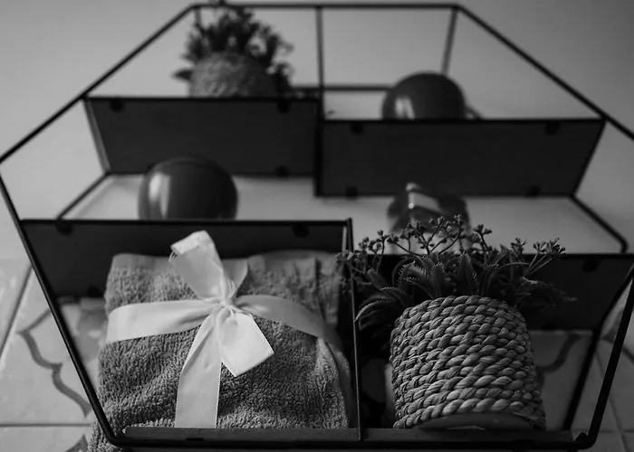 4venti Cozy Hub Apartamento